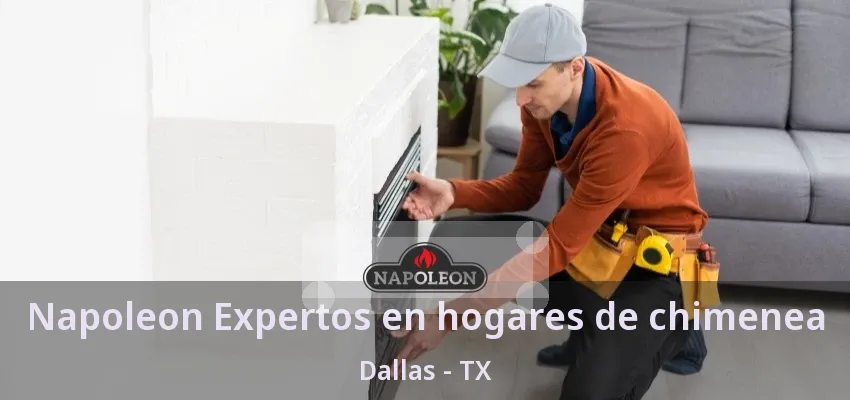 Napoleon Expertos en hogares de chimenea Dallas - TX