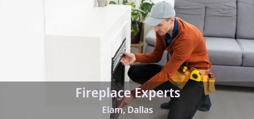 Fireplace Experts Elam, Dallas - TX