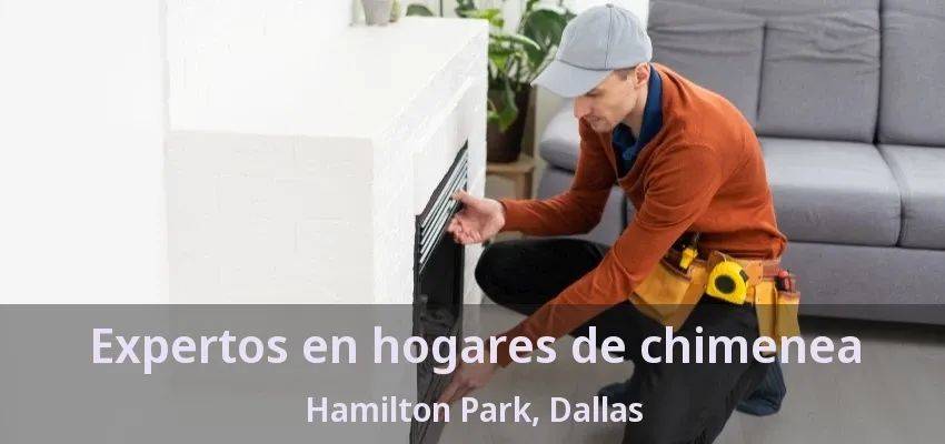 Expertos en hogares de chimenea Hamilton Park, Dallas - TX