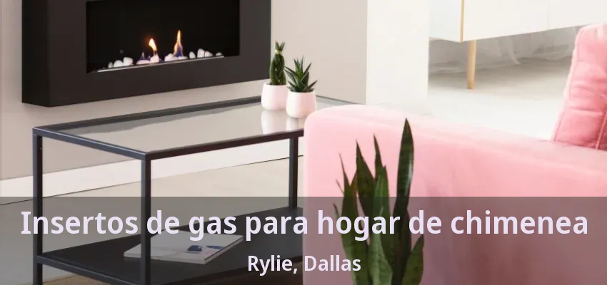 Insertos de gas para hogar de chimenea Rylie, Dallas - TX Insertos de gas para hogar de chimenea Rylie, Dallas - TX
