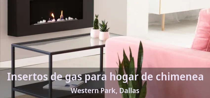 Insertos de gas para hogar de chimenea Western Park, Dallas - TX