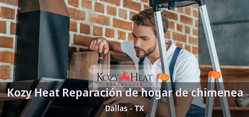 Kozy Heat Reparación de hogar de chimenea Dallas - TX