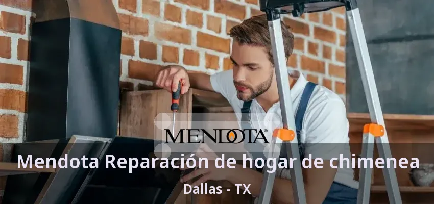 Mendota Reparación de hogar de chimenea Dallas - TX