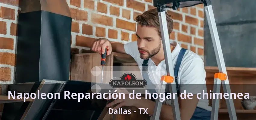 Napoleon Reparación de hogar de chimenea Dallas - TX