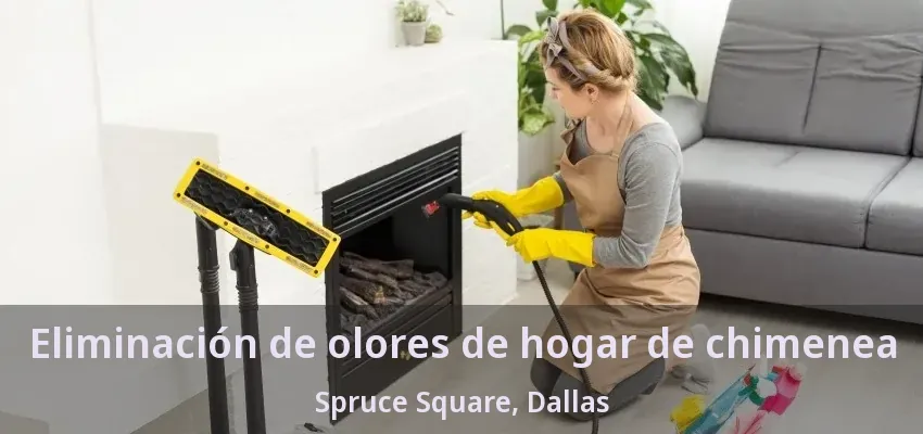 Eliminación de olores de hogar de chimenea Spruce Square, Dallas - TX