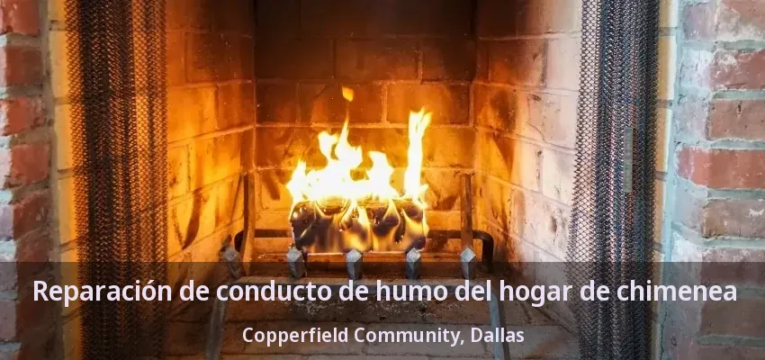 Reparación de conducto de humo del hogar de chimenea Copperfield Community, Dallas - TX