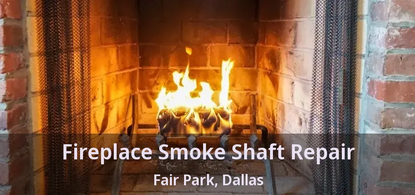 Fireplace Smoke Shaft Repair Fair Park, Dallas - TX