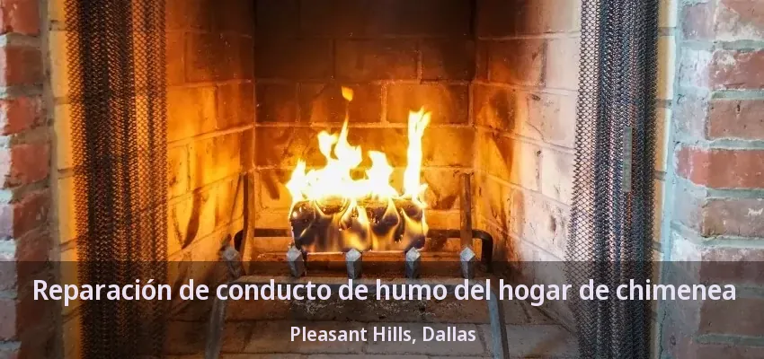 Reparación de conducto de humo del hogar de chimenea Pleasant Hills, Dallas - TX
