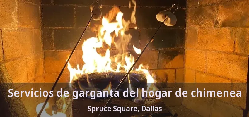 Servicios de garganta del hogar de chimenea Spruce Square, Dallas - TX