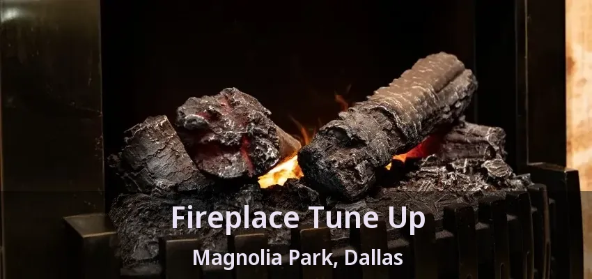 Fireplace Tune Up Magnolia Park, Dallas - TX