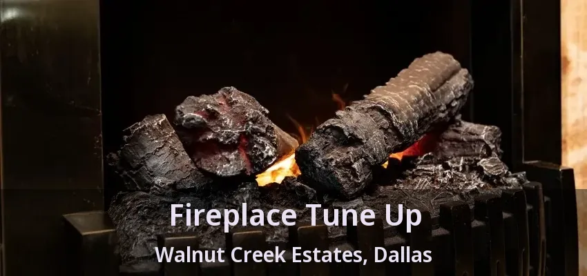 Fireplace Tune Up Walnut Creek Estates, Dallas - TX