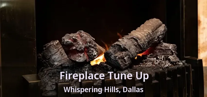 Fireplace Tune Up Whispering Hills, Dallas - TX