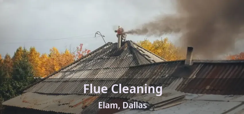 Flue Cleaning Elam, Dallas - TX