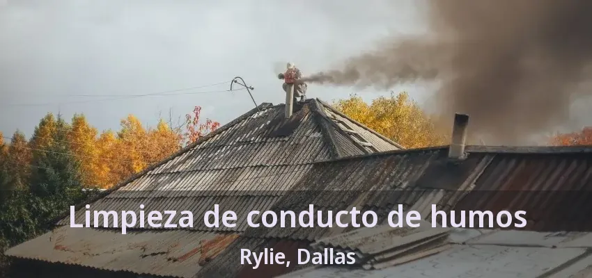 Limpieza de conducto de humos Rylie, Dallas - TX