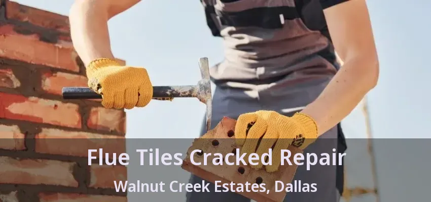 Flue Tiles Cracked Repair Walnut Creek Estates, Dallas - TX