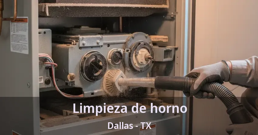 Limpieza de horno Dallas - TX