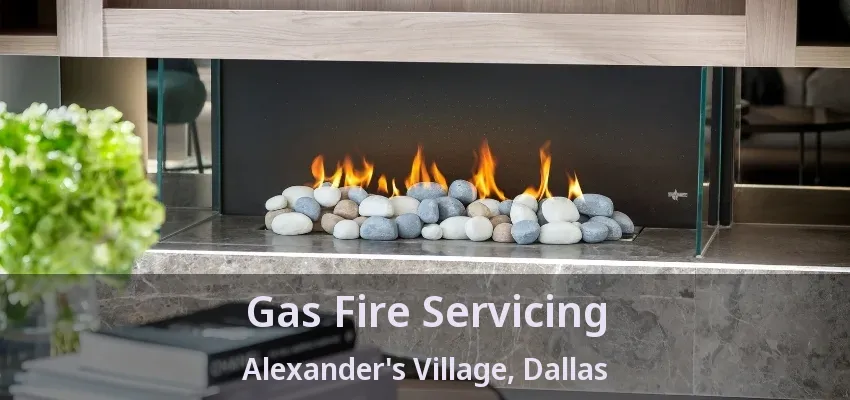 Gas Fire Servicing Alexander's Village, Dallas - TX