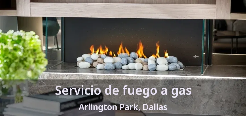 Servicio de fuego a gas Arlington Park, Dallas - TX