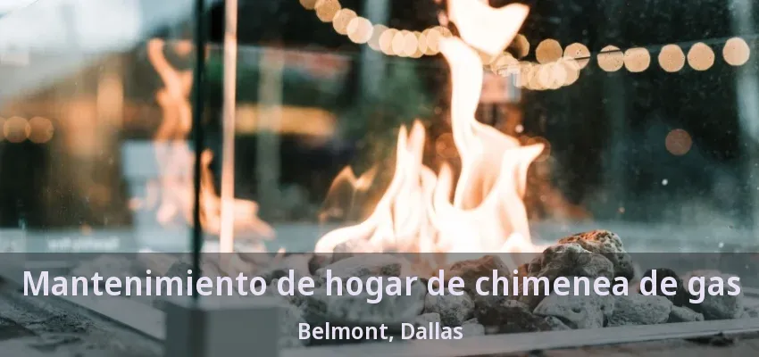 Mantenimiento de hogar de chimenea de gas Belmont, Dallas - TX