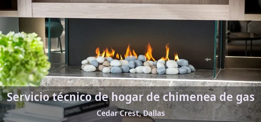 Servicio técnico de hogar de chimenea de gas Cedar Crest, Dallas - TX