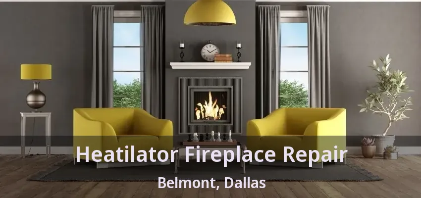 Heatilator Fireplace Repair Belmont, Dallas - TX