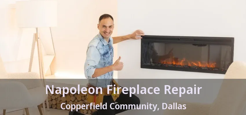 Napoleon Fireplace Repair Copperfield Community, Dallas - TX