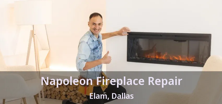 Napoleon Fireplace Repair Elam, Dallas - TX
