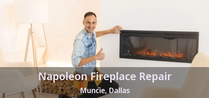 Napoleon Fireplace Repair Muncie, Dallas - TX