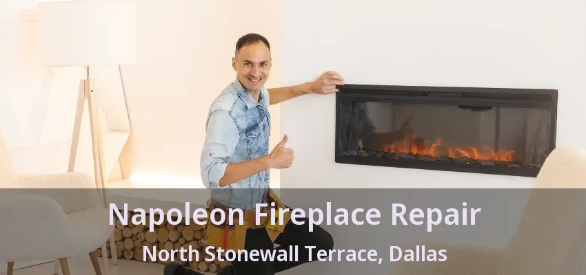 Napoleon Fireplace Repair North Stonewall Terrace, Dallas - TX