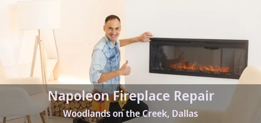 Napoleon Fireplace Repair Woodlands on the Creek, Dallas - TX
