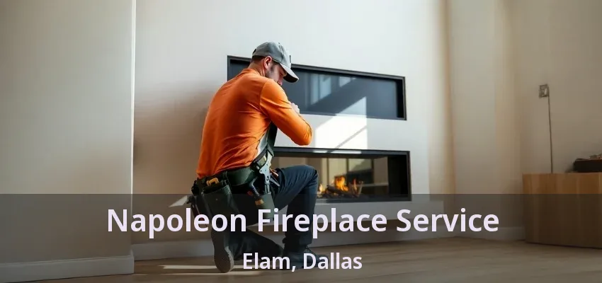 Napoleon Fireplace Service Elam, Dallas - TX