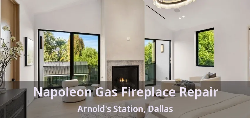 Napoleon Gas Fireplace Repair Arnold's Station, Dallas - TX