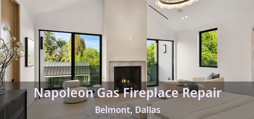 Napoleon Gas Fireplace Repair Belmont, Dallas - TX