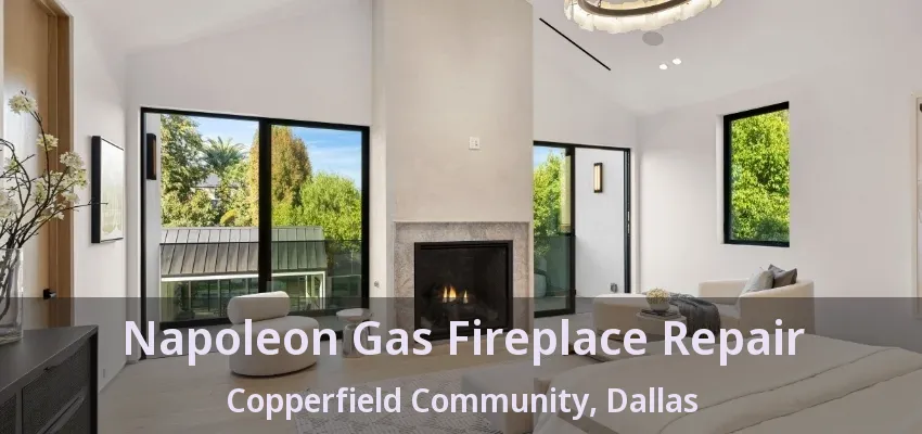 Napoleon Gas Fireplace Repair Copperfield Community, Dallas - TX