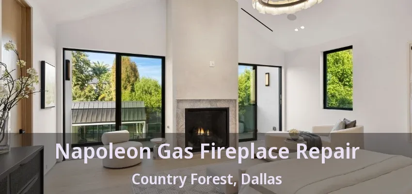 Napoleon Gas Fireplace Repair Country Forest, Dallas - TX