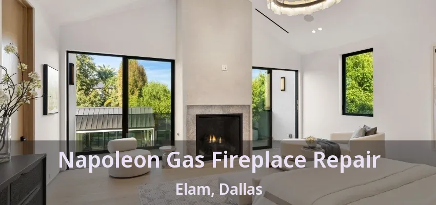 Napoleon Gas Fireplace Repair Elam, Dallas - TX