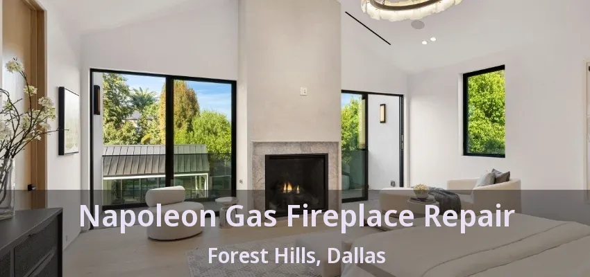 Napoleon Gas Fireplace Repair Forest Hills, Dallas - TX