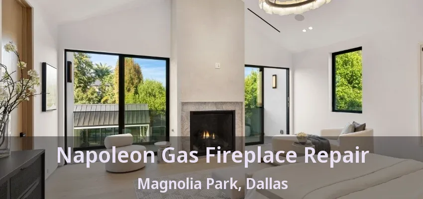 Napoleon Gas Fireplace Repair Magnolia Park, Dallas - TX