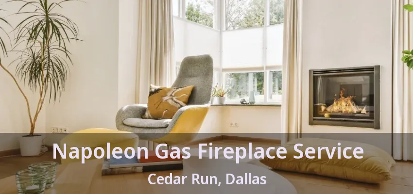 Napoleon Gas Fireplace Service Cedar Run, Dallas - TX