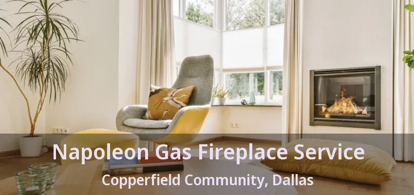 Napoleon Gas Fireplace Service Copperfield Community, Dallas - TX