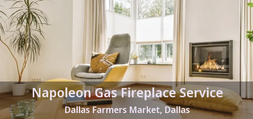 Napoleon Gas Fireplace Service Dallas Farmers Market, Dallas - TX