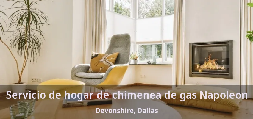 Servicio de hogar de chimenea de gas Napoleon Devonshire, Dallas - TX