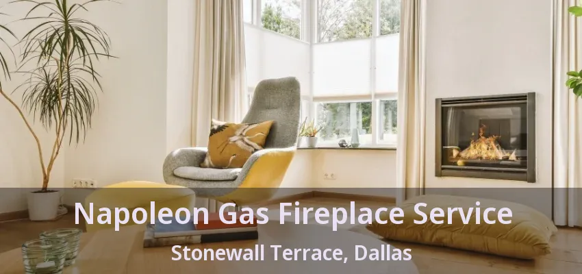 Napoleon Gas Fireplace Service Stonewall Terrace, Dallas - TX