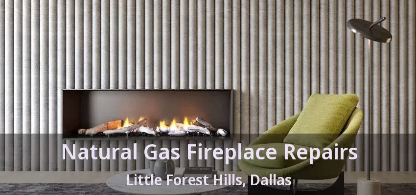 Natural Gas Fireplace Repairs Little Forest Hills, Dallas - TX