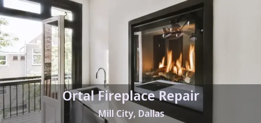Ortal Fireplace Repair Mill City, Dallas - TX
