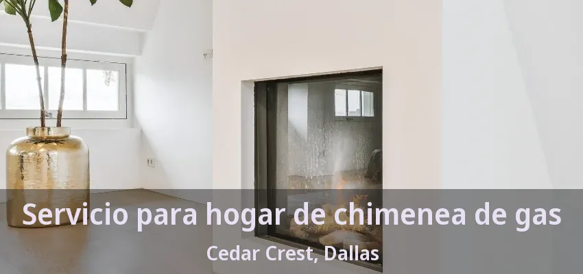 Servicio para hogar de chimenea de gas Cedar Crest, Dallas - TX