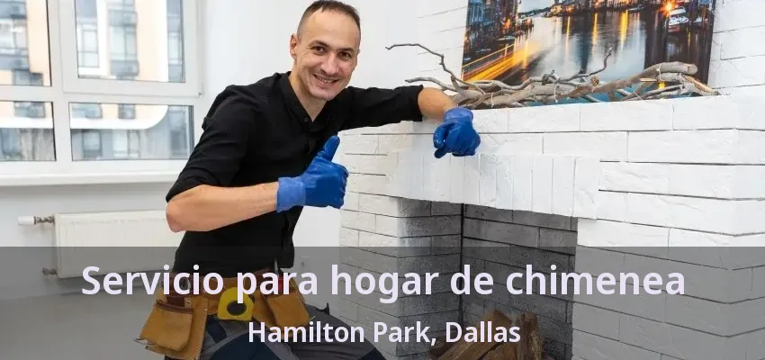 Servicio para hogar de chimenea Hamilton Park, Dallas - TX