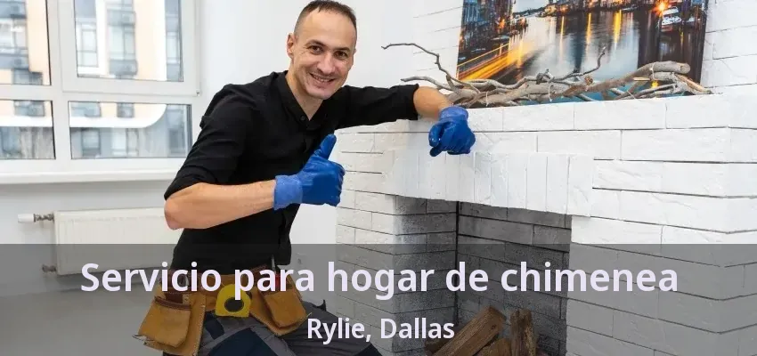 Servicio para hogar de chimenea Rylie, Dallas - TX