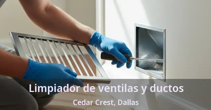 Limpiador de ventilas y ductos Cedar Crest, Dallas - TX