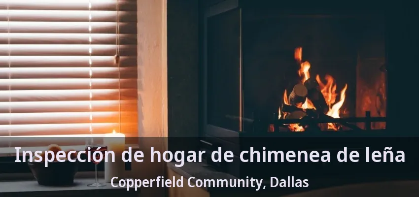 Inspección de hogar de chimenea de leña Copperfield Community, Dallas - TX